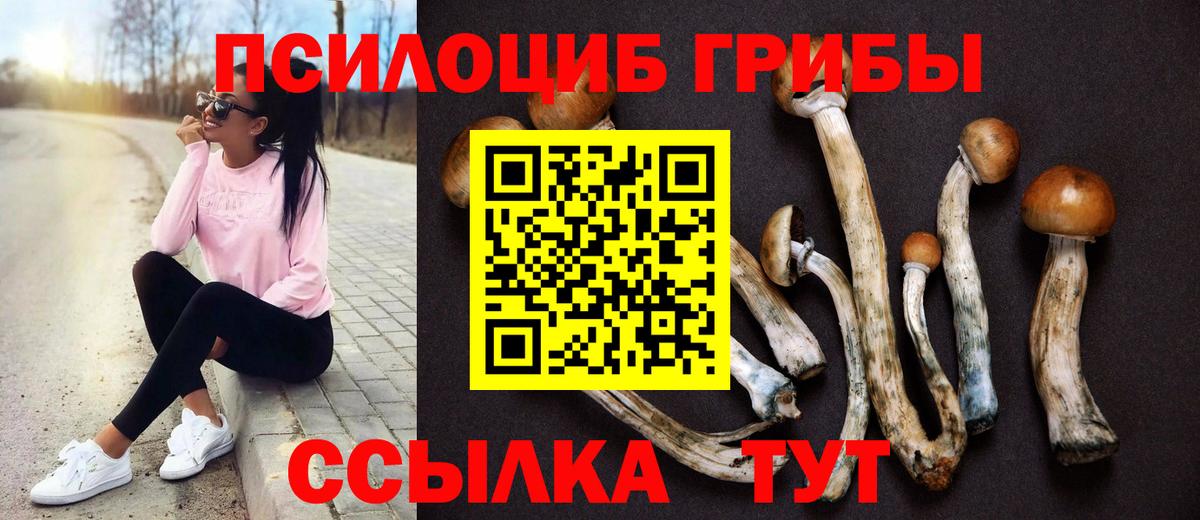 цены наркотик  Галлюциногенные грибы MAGIC MUSHROOMS  Вход с VPN  Псилоцибиновые грибы Psilocybine cubensis  Орехово-Зуево 